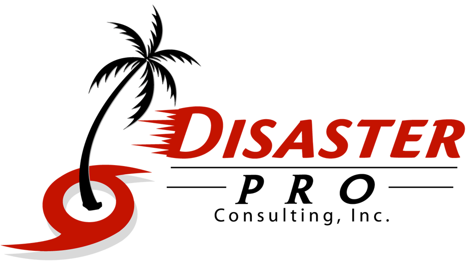 Disaster Pro